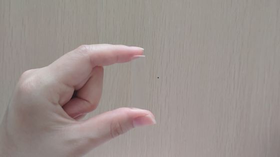 H-K9L Fused Silica Optical Cylindrical Plano Convex Cylindrical Lens